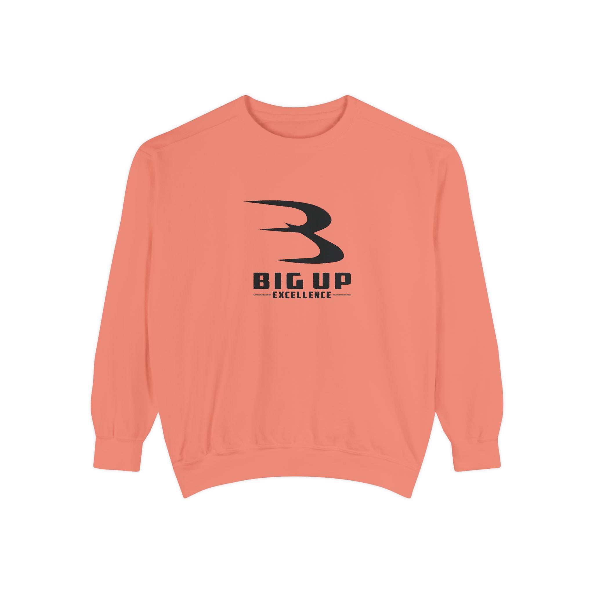 Unisex Garment-Dyed Sweatshirt