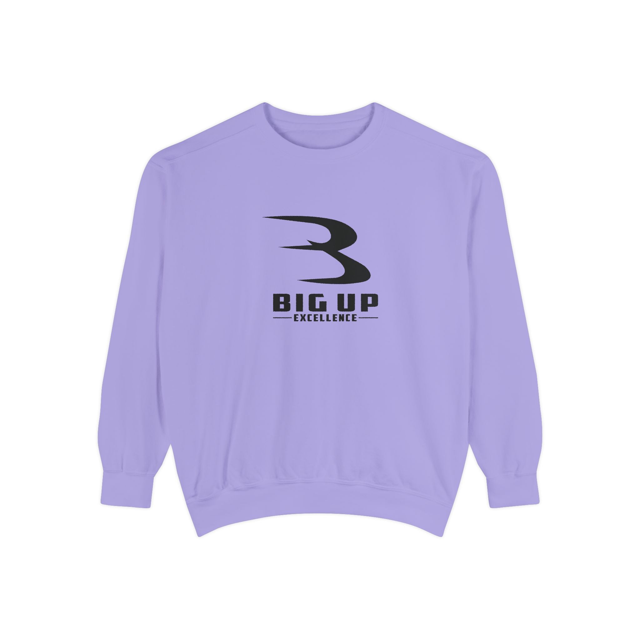 Unisex Garment-Dyed Sweatshirt