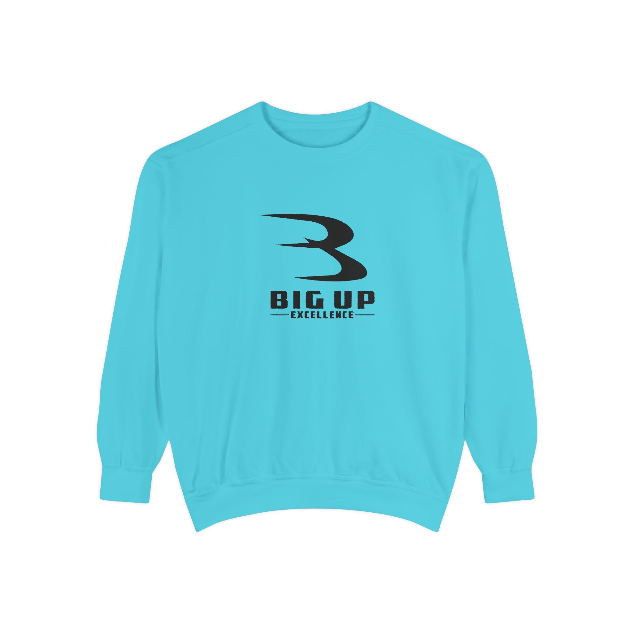Unisex Garment-Dyed Sweatshirt
